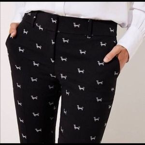 dachshund pants